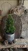Afbeelding laden in Galerijviewer, (Verkocht) Kerstboompje incl pot