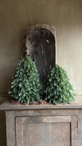 Kunst Nobilis bomen set 50 + 40 cm