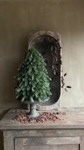Kunst Nobilis boom 50cm