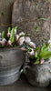 Afbeelding laden in Galerijviewer, Tulpen purple black 7st 32CM